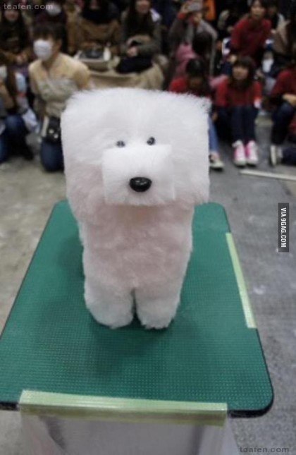 더이쁘게 이미지