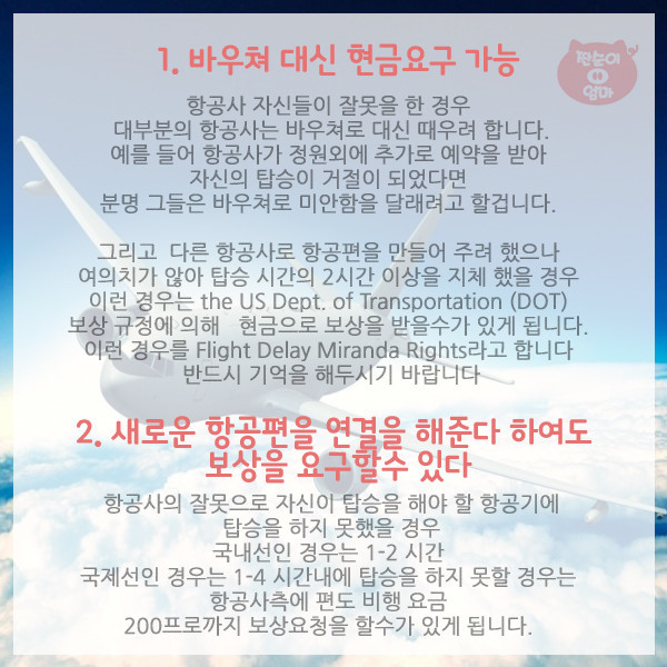 항공사가 숨기는 탑승객의 권리 10가지 | 인스티즈