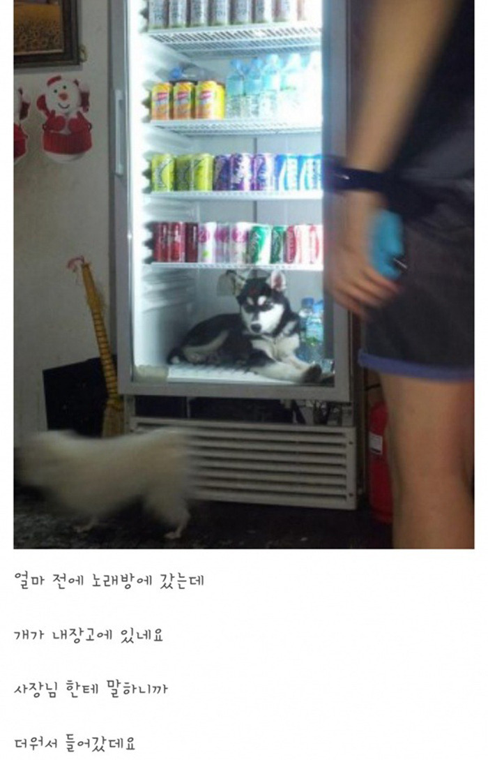 원함 이미지