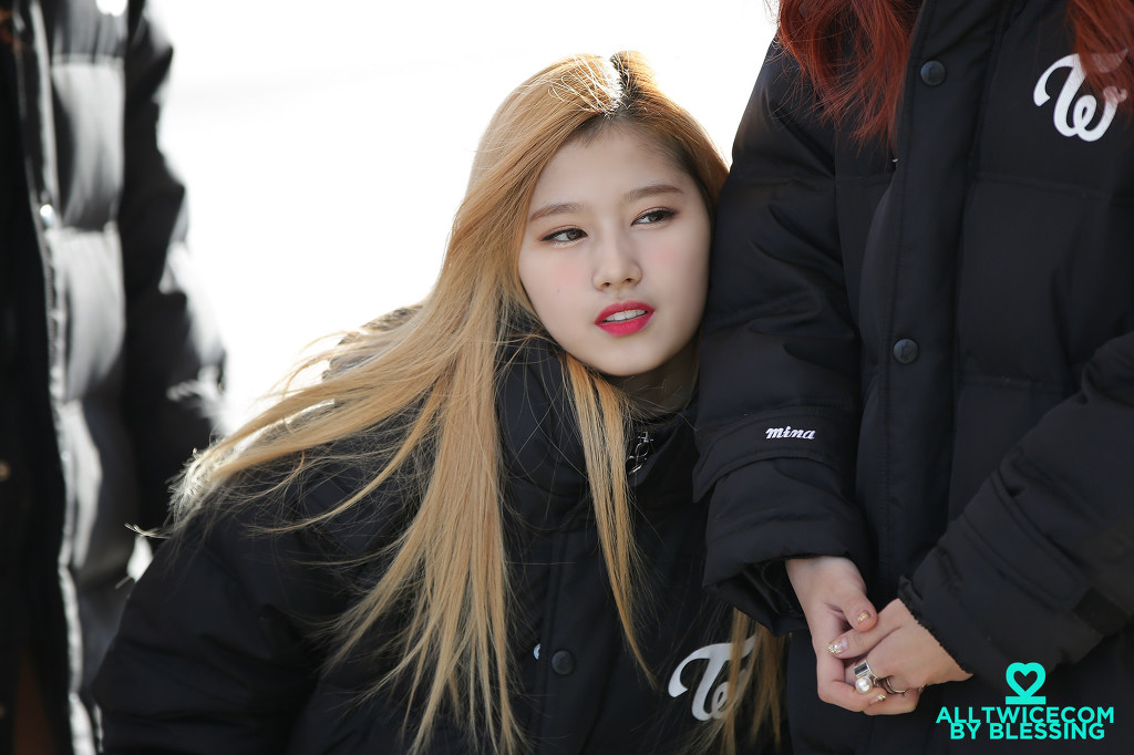 [트와이스] 샤샤샤 사나 | 인스티즈
