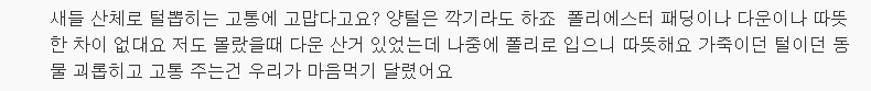 오리털 적게 든 얇은 다운점퍼도 보온력은 비슷 | 인스티즈