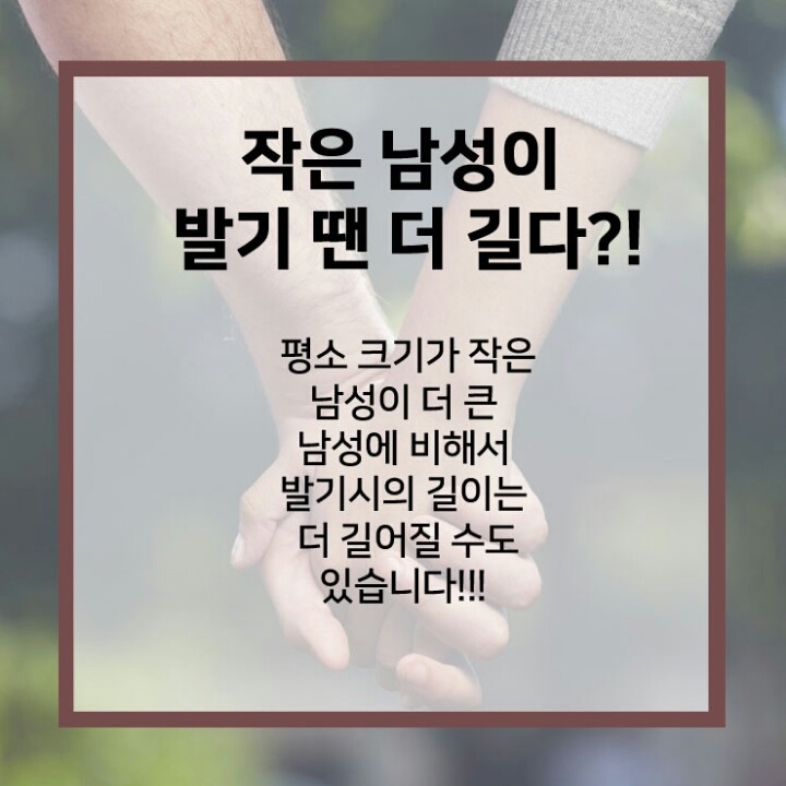 남성 성기에 대한 진실 | 인스티즈