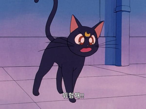 미소녀 전사 세일러문 (美少女戦士セーラームーン) 03 | 인스티즈