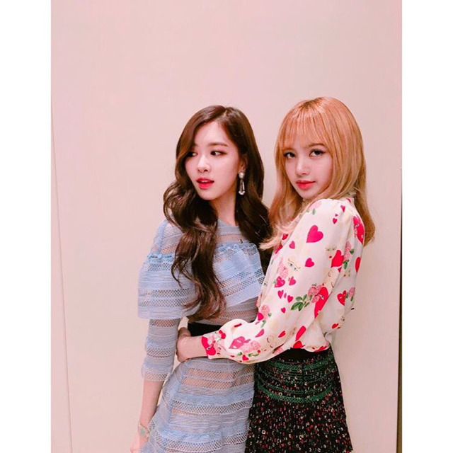 블랙핑크 인스타그램 폭풍 업뎃.jpg | 인스티즈