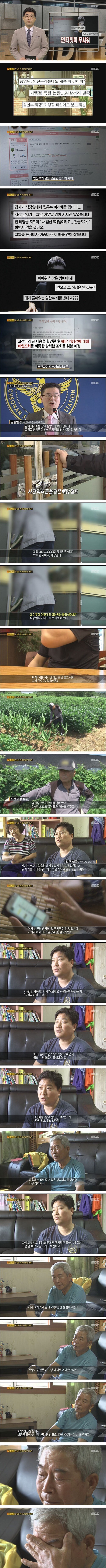 인터넷으로 한 사람의 인생을 완전 망가뜨려버린 임산부 사건 JPG | 인스티즈