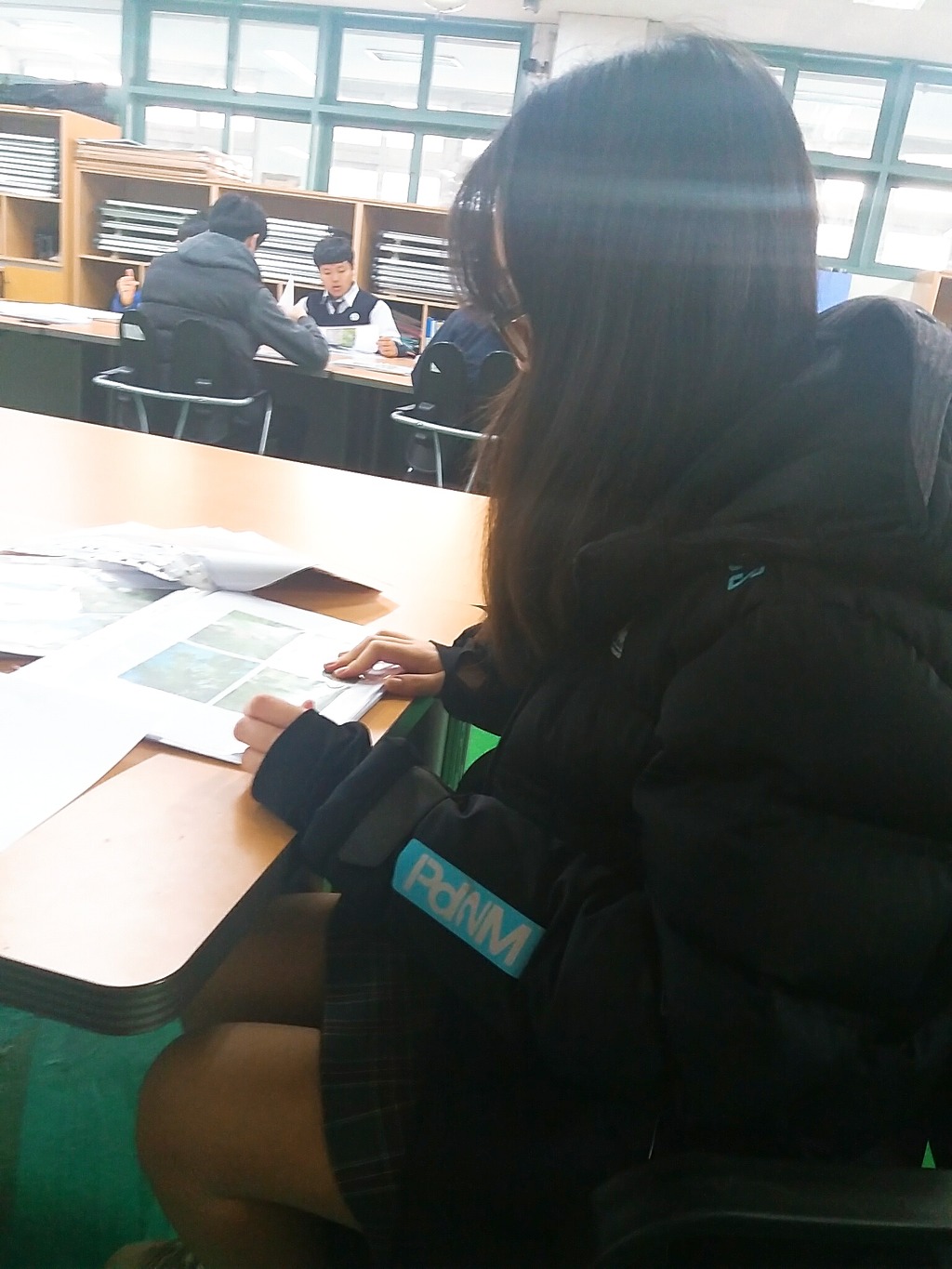 예쁜금송꽃 이미지