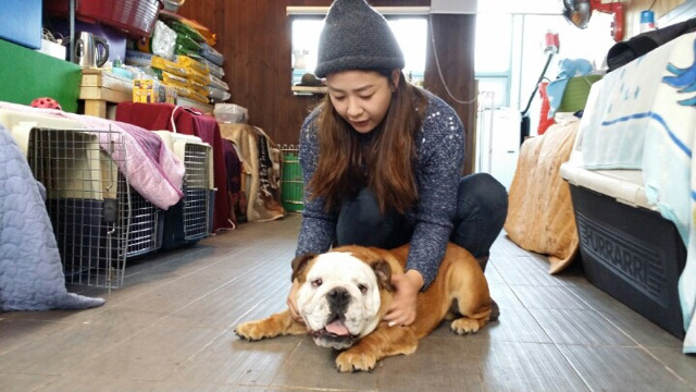 짜몽이네 이미지