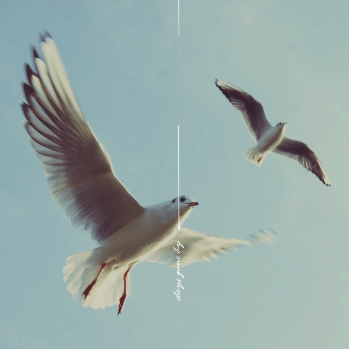  봤던 영화를 몇 번이고 다시 보는 이유 | 인스티즈