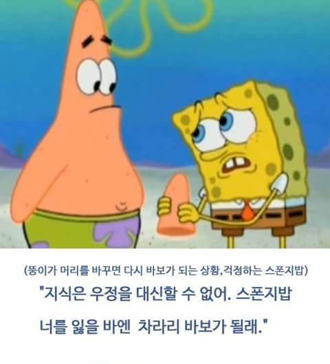 이런 친구 한명만 있으면 성공한거다 | 인스티즈