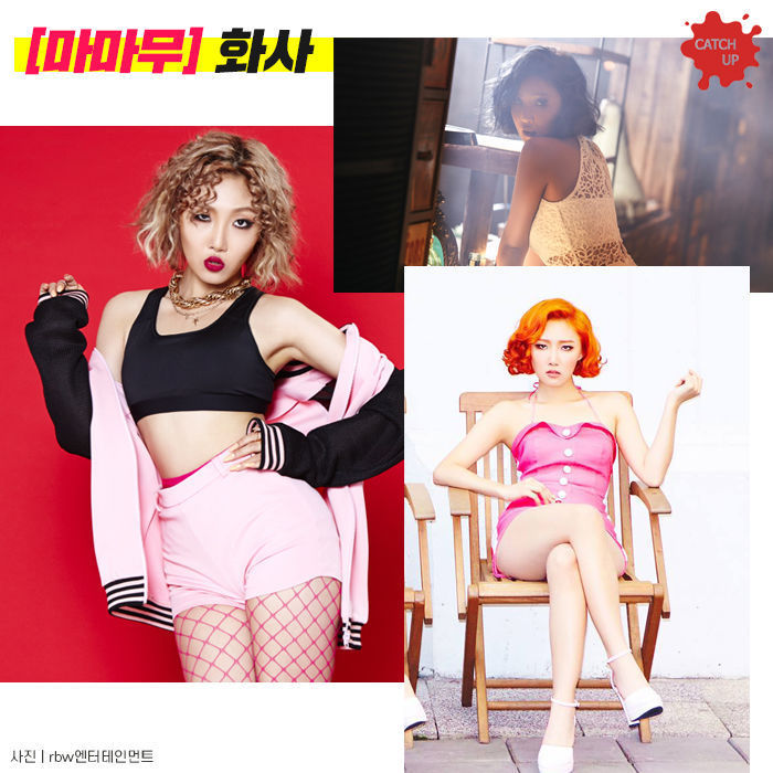 어깨 예쁜 여자연예인 | 인스티즈