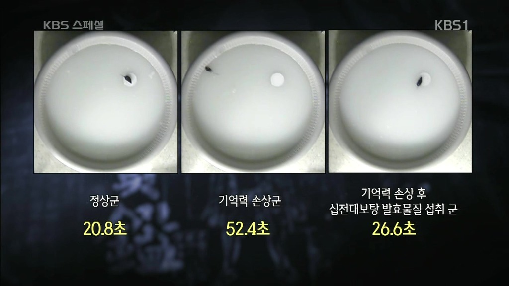 세계가 말하는 한의학과 동의보감 | 인스티즈