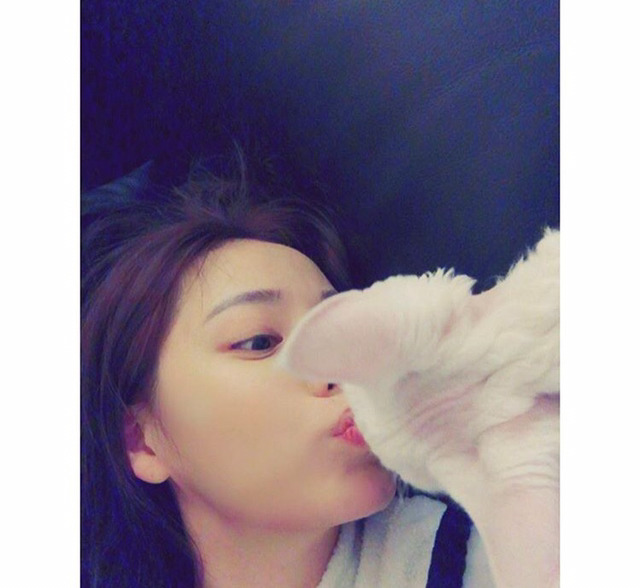 민효린햏이 키우는 반려동물이 왜 자주 바뀌는지 피드백해줬음하오 | 인스티즈