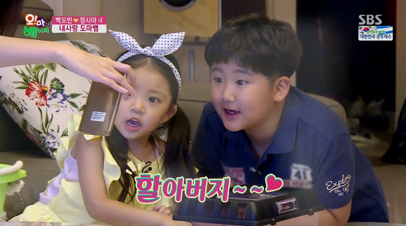 법규가 난무하는 가족.jpg | 인스티즈