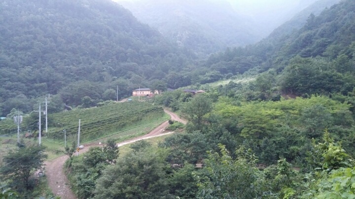 청화원 이미지