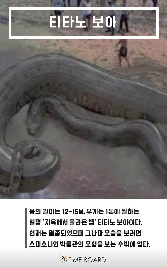 멸종되서 다행인 동물 | 인스티즈