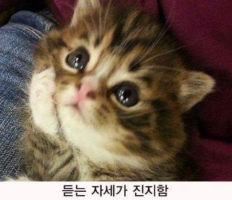집사가 미인이면 | 인스티즈