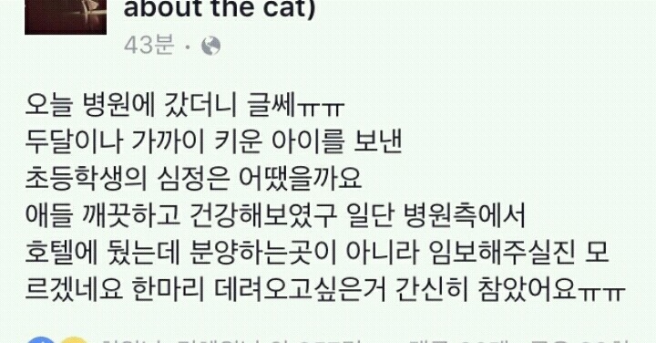 한 초등학생이 동물병원에 놓고 간 4마리의 고양이와 편지 | 인스티즈