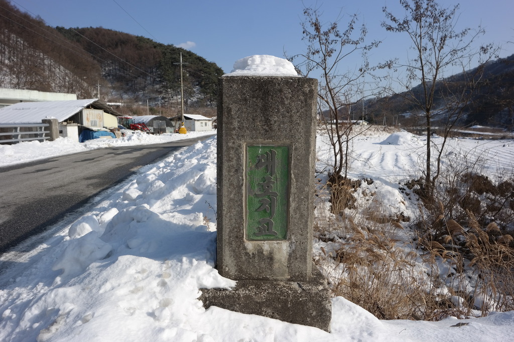 지교대호 이미지