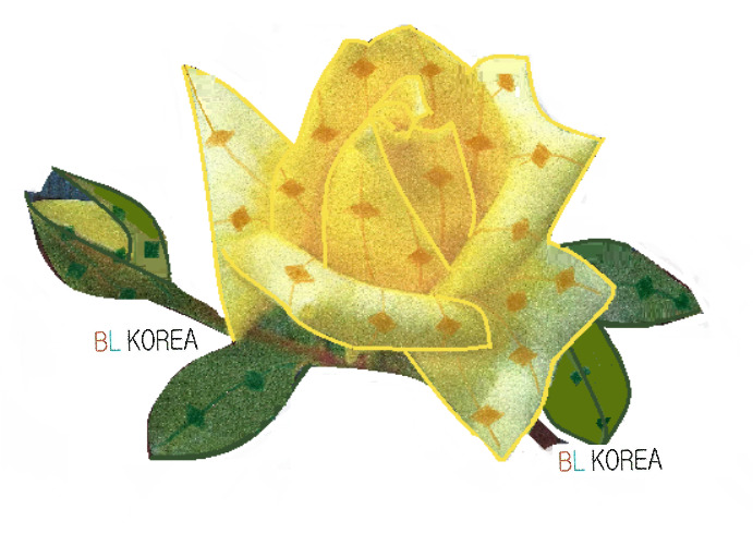 바다의선물 이미지