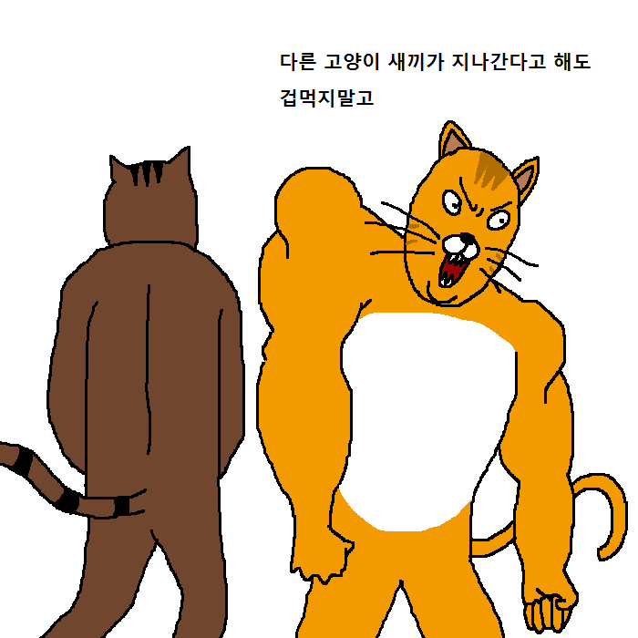 상남자 고양이의 아들 교육법 | 인스티즈