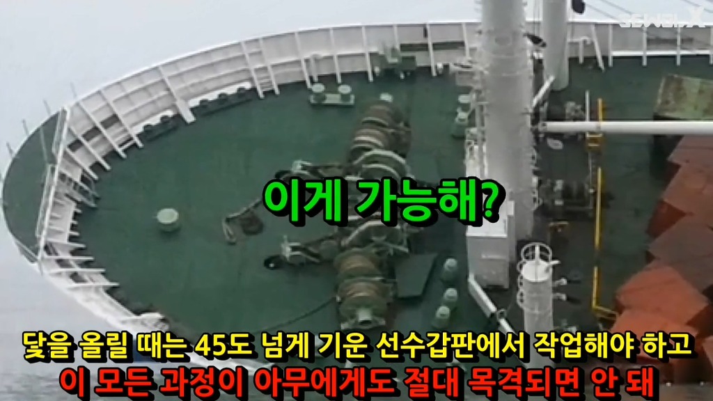파파이스 닻 고의침몰설에 반박하는 자로 세월 X | 인스티즈
