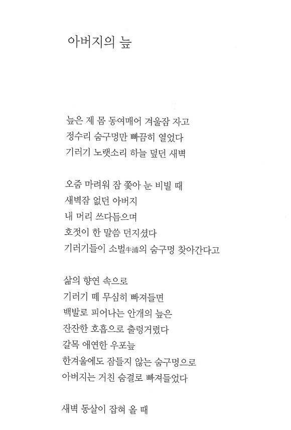 양민주 이미지