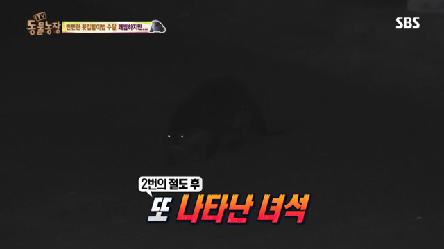 물고기아저씨 이미지