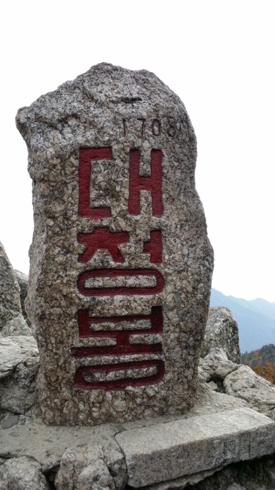 봉동옷전 이미지