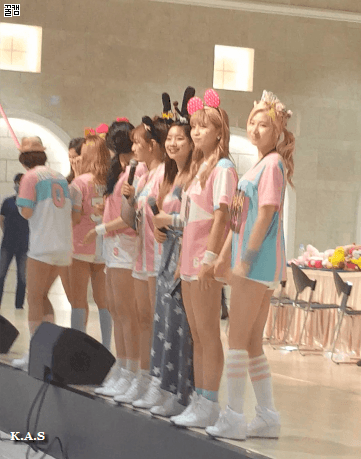 [트와이스] 새벽에는 잔잔하게 사나 | 인스티즈