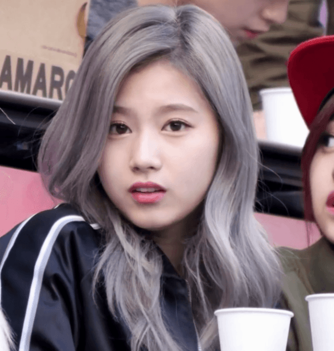 트와이스 사나 홀리는 짤.gif | 인스티즈