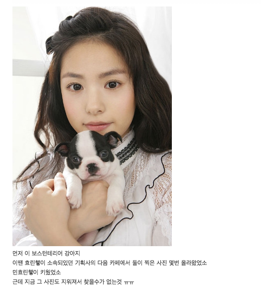 악플 엄청 받고 있는 민효린 반려 동물 사건 정리 글.......jpg | 인스티즈