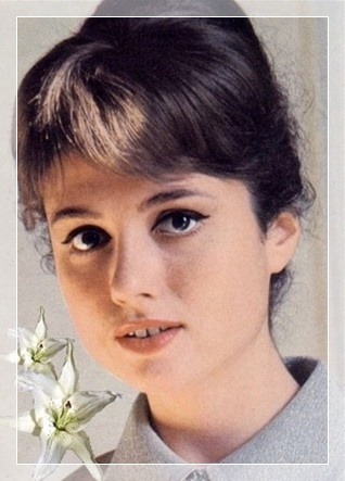 애풀잭_Gigliola Cinquetti-01.jpg