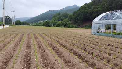 태양농원 이미지