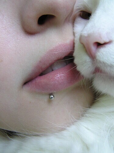 Tumblr : #cat #pink | 인스티즈
