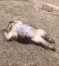 변방의 북소리.gif | 인스티즈