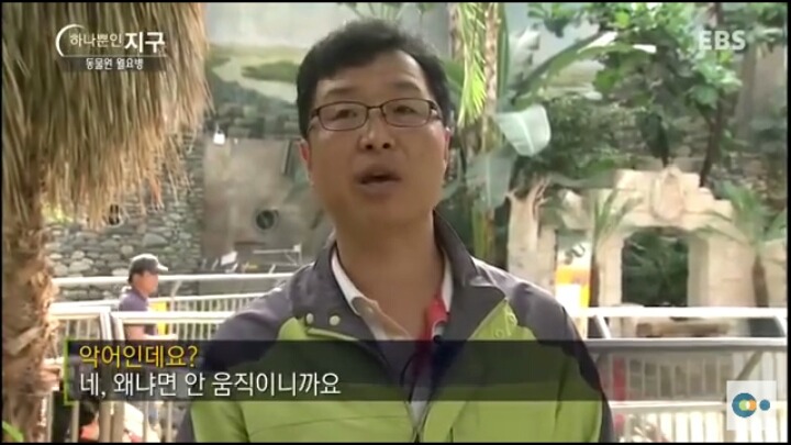 동물원 동물들이 월요병 생기는 이유 | 인스티즈