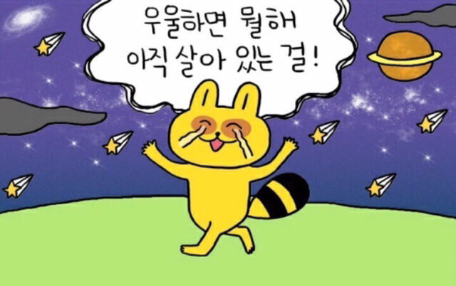 이리 이미지