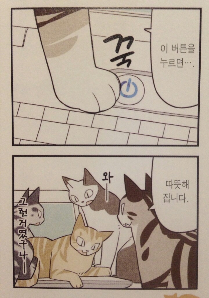 고양이 컴퓨터 사용방법.jpg | 인스티즈