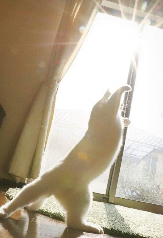 나는_춤추기를_갈망한다(feat.발레리냥).jyp | 인스티즈