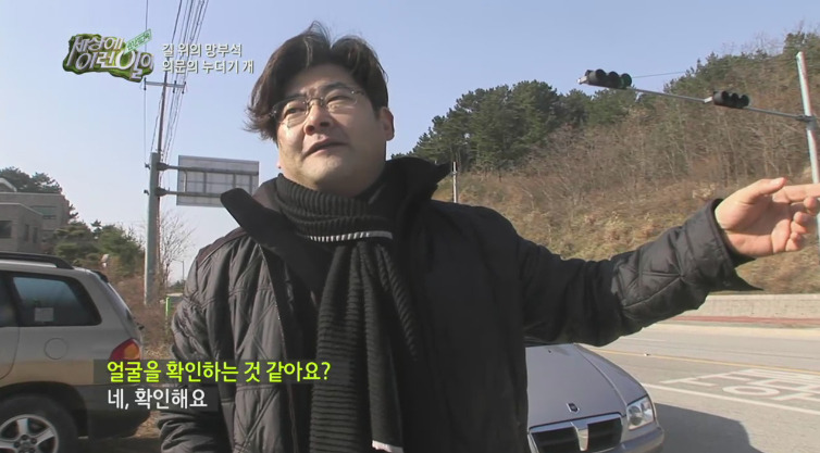 [세상에이런일이] 도로위에 망부석이 되서 주인을 기다리는 강아지.jpg | 인스티즈