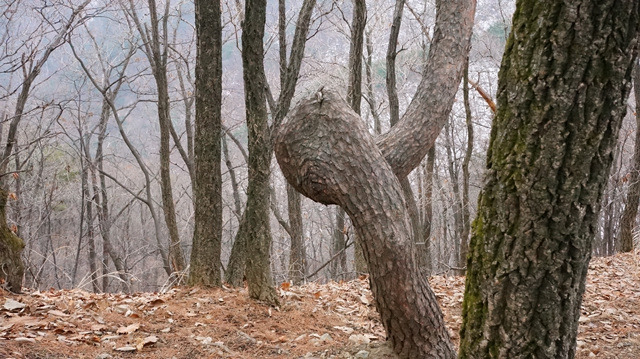 빈계산 이미지