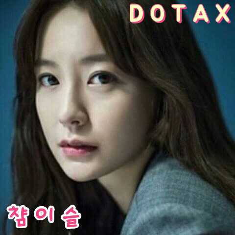 시바견은 몇마리 일까요? ㅎㅎ | 인스티즈