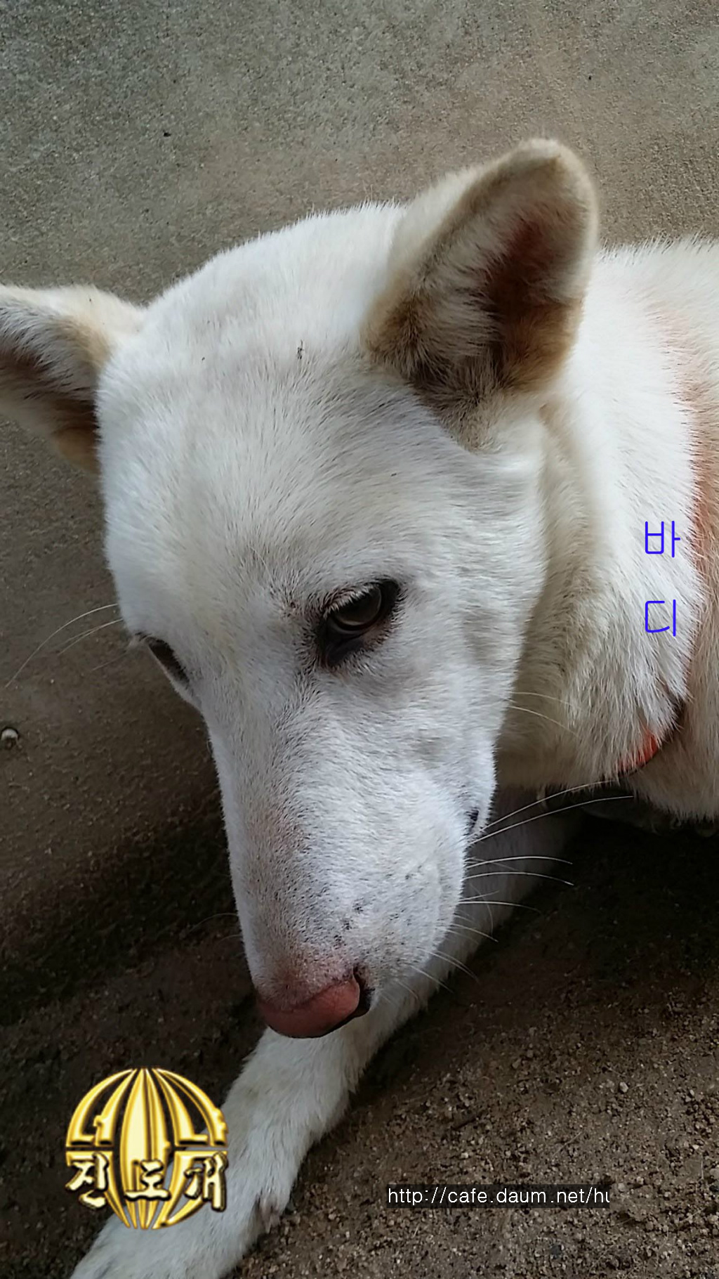 촌놈 이미지