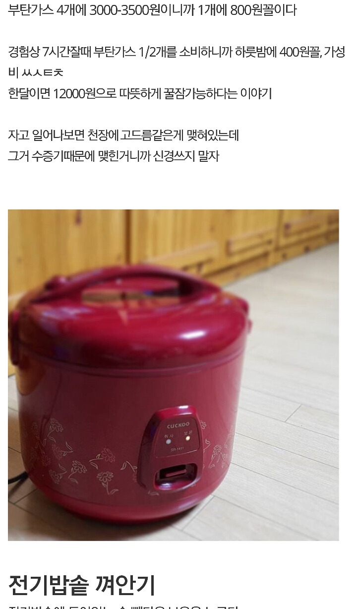 디씨에 새로 생긴 갤러리 | 인스티즈