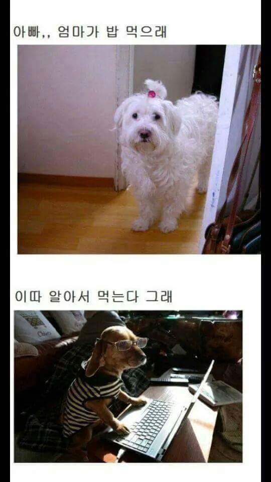 밥은 먹고 다니냐 | 인스티즈