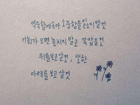 열넷 이미지