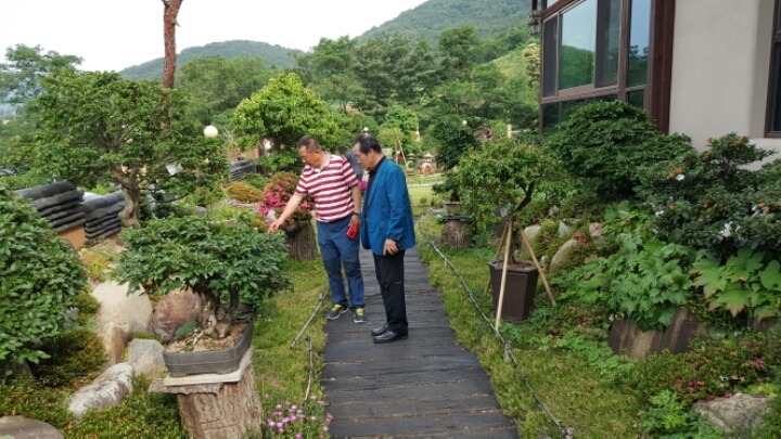 카사벨라 이미지