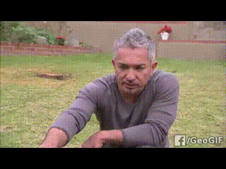 괜찮아요. 전 전문가입니다.gif | 인스티즈