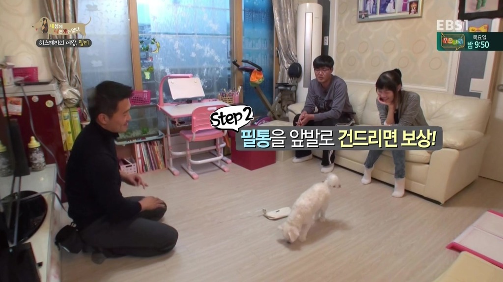 [세상에나쁜개는없다] 가족들에게 짖고 무는 강아지 릴리햏 | 인스티즈
