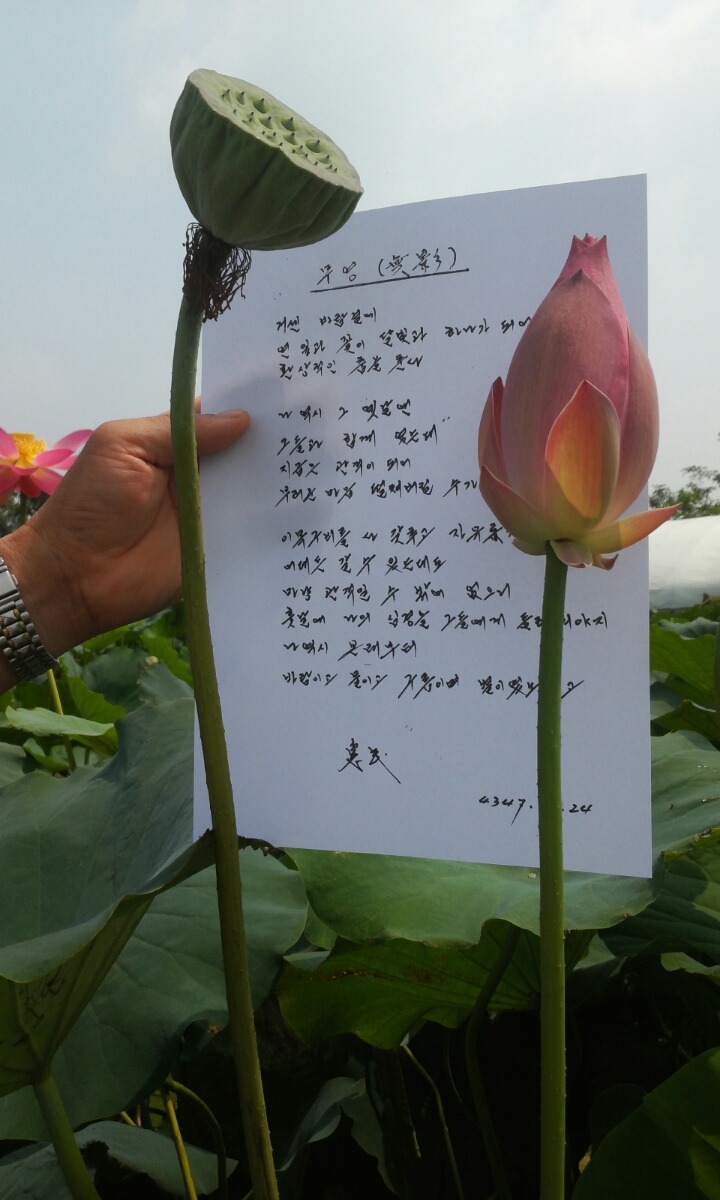 무영 이미지